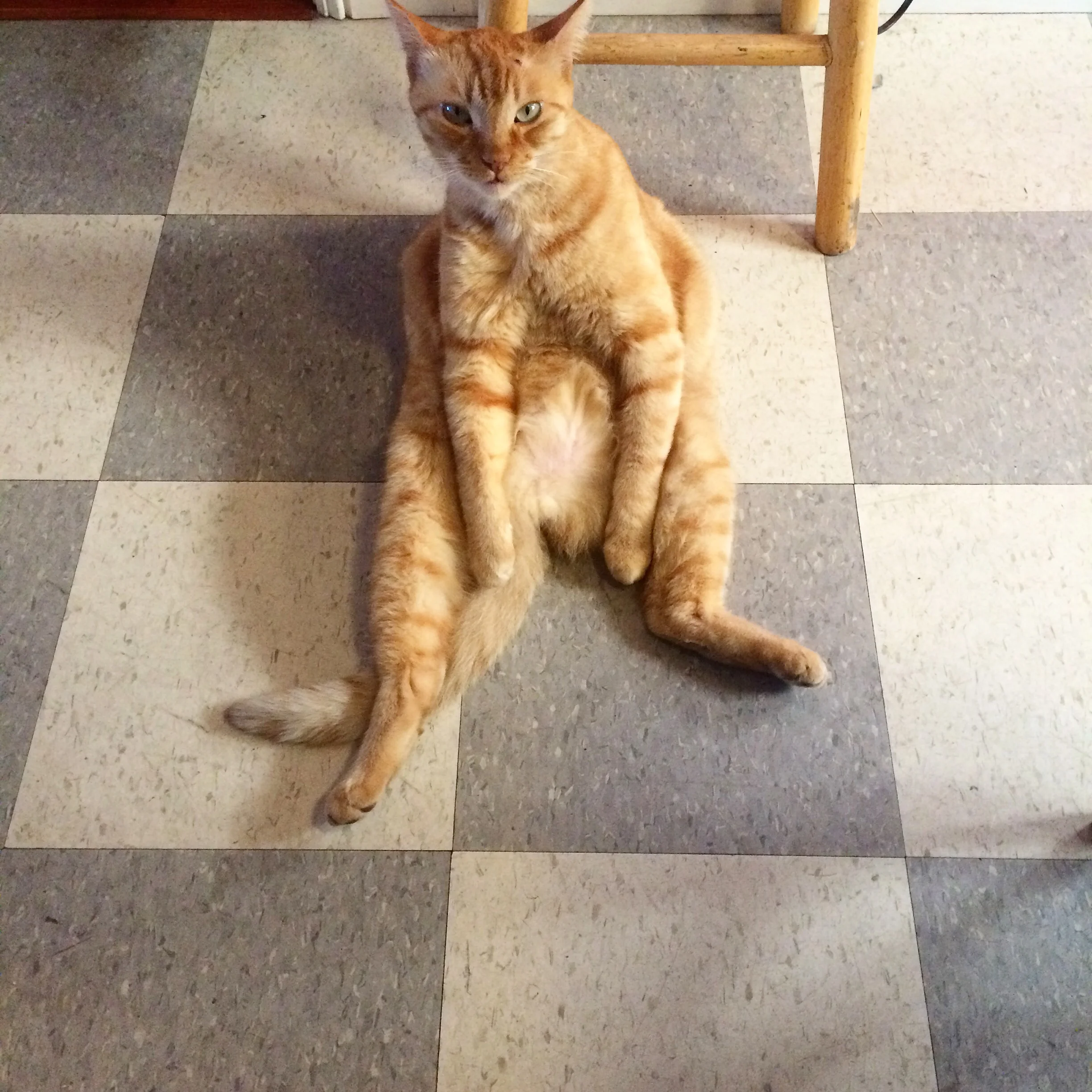 image.jpg