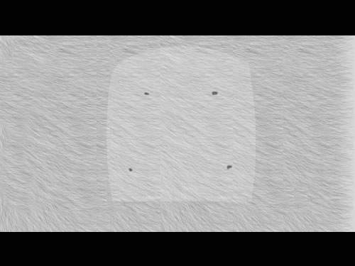 Scene_21 copy.jpg