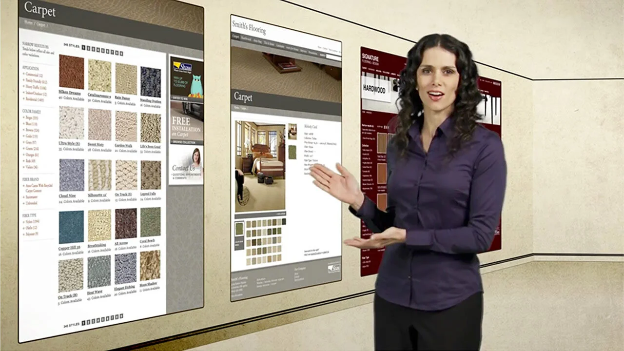  Shaw - Shaw Web Studio Overview 