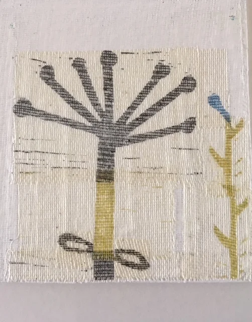 herbarium
