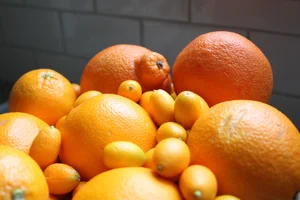 Blog — Holly Mueller Home