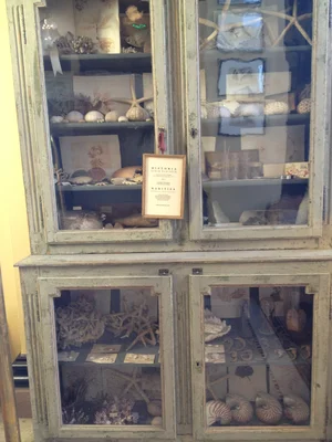 Blog — Holly Mueller Home