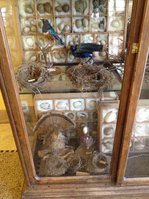 Blog — Holly Mueller Home