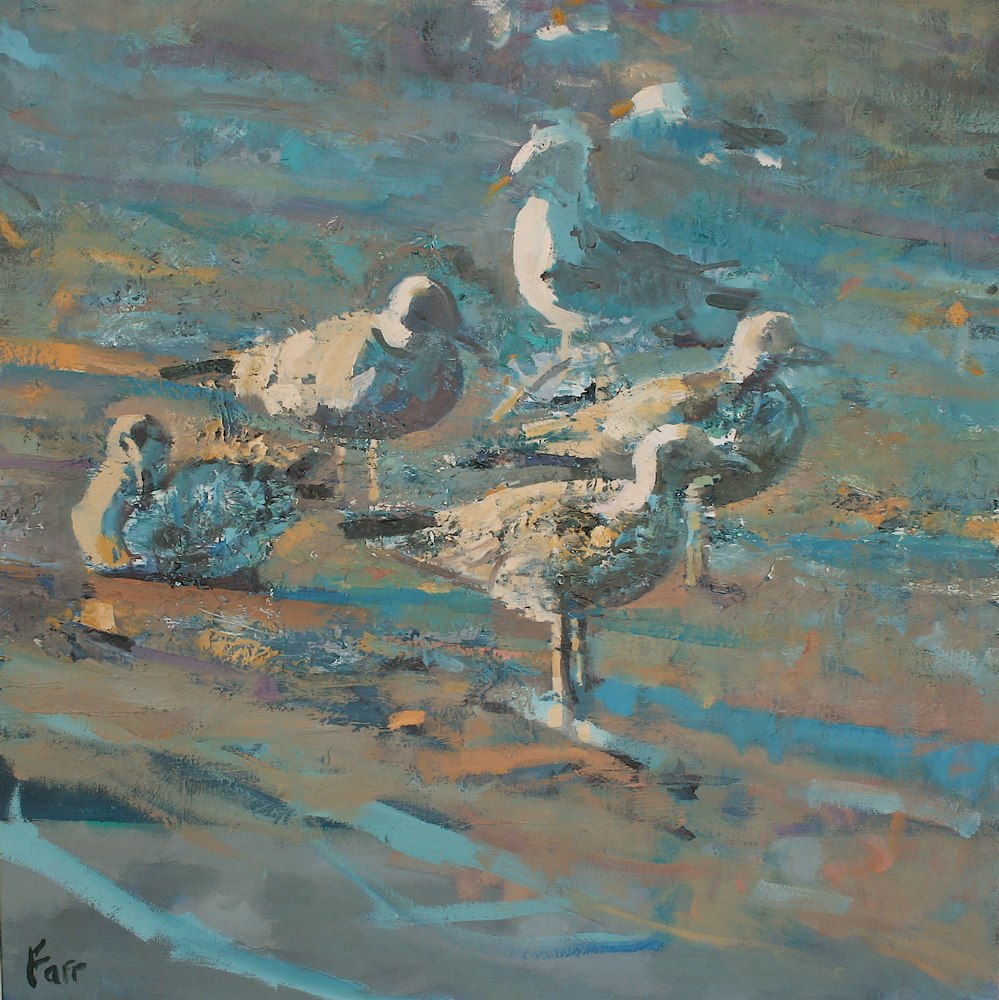 Seabirds, Ventry