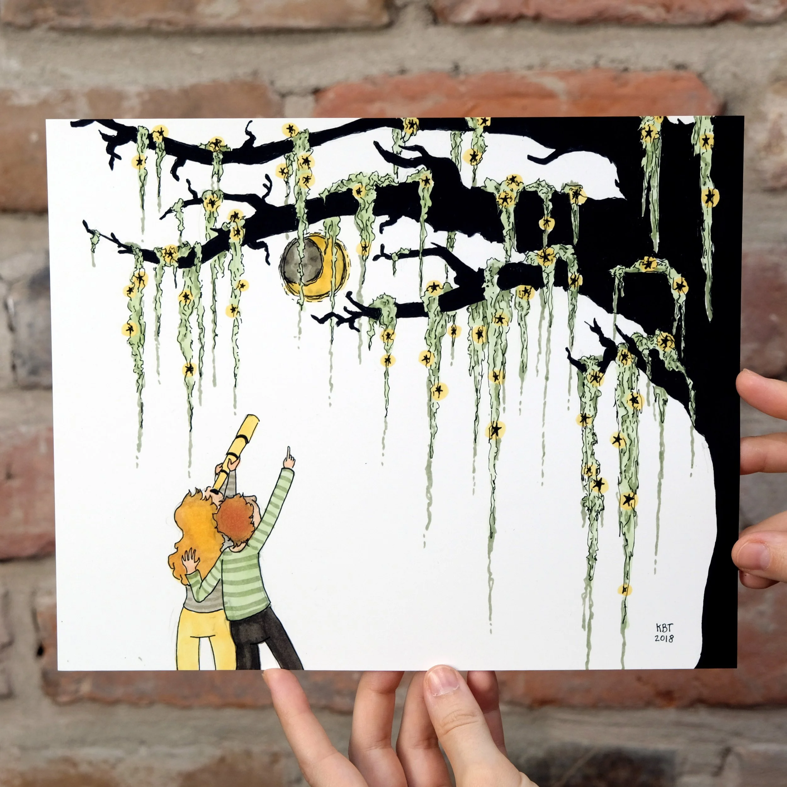 Stars in the Spanish Moss