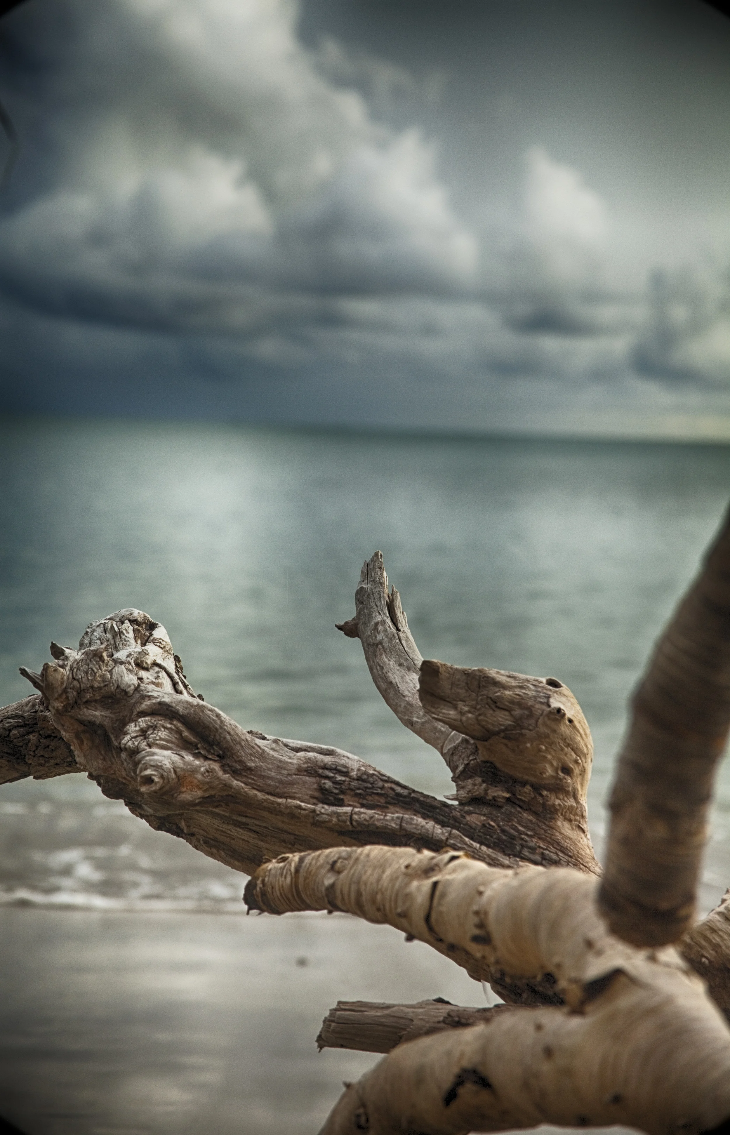 prasanna landscapes-2.jpg