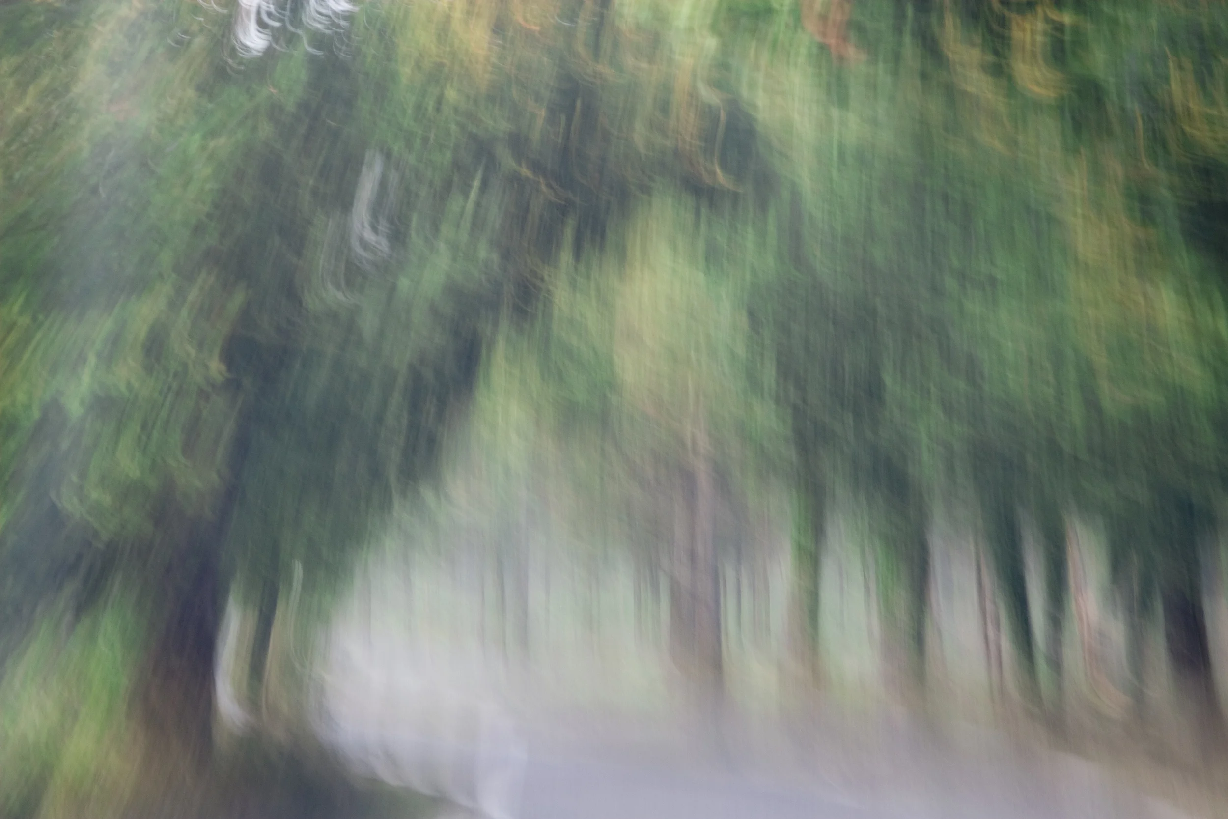 prasanna landscapes-29.jpg