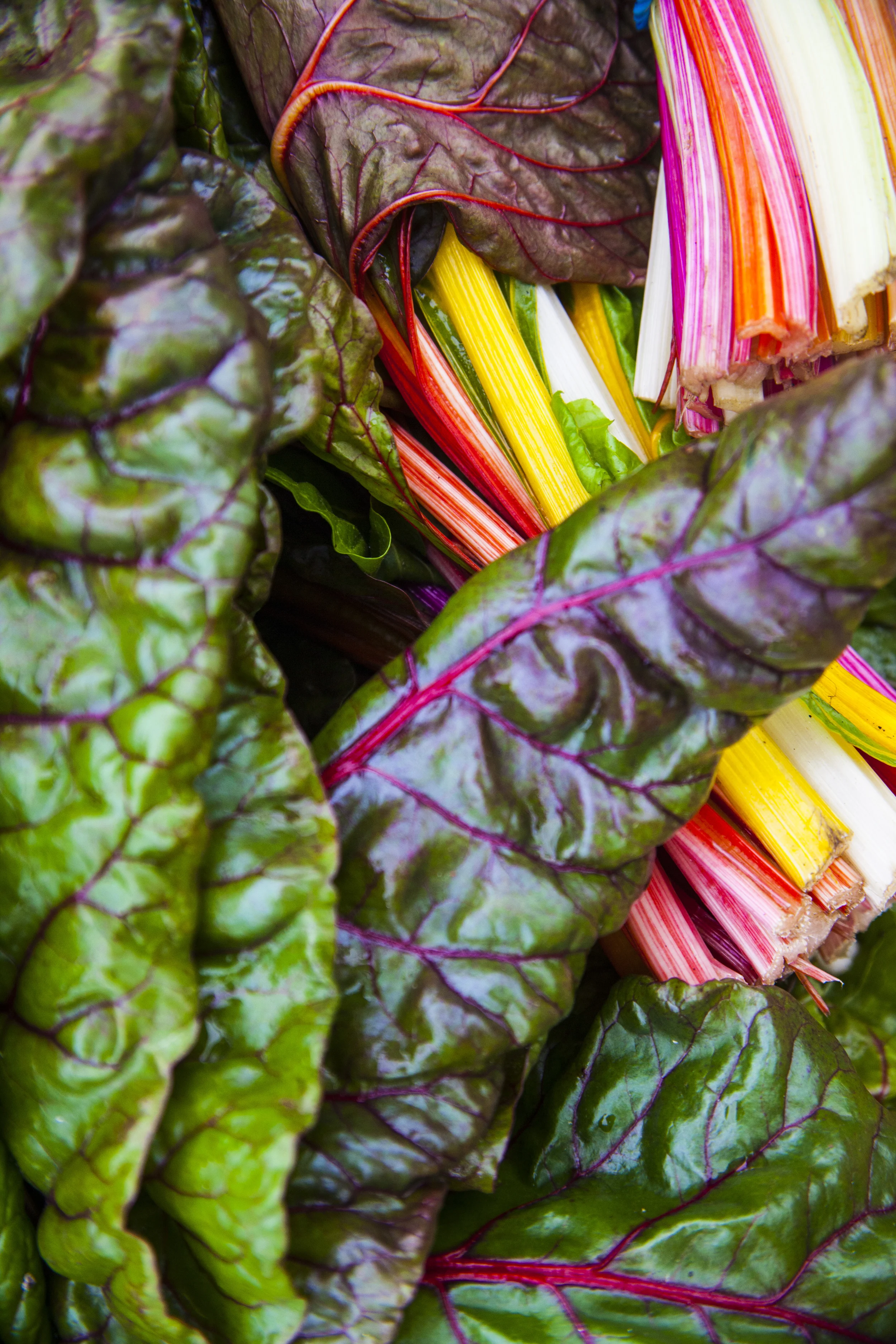 food final edit-8.jpg