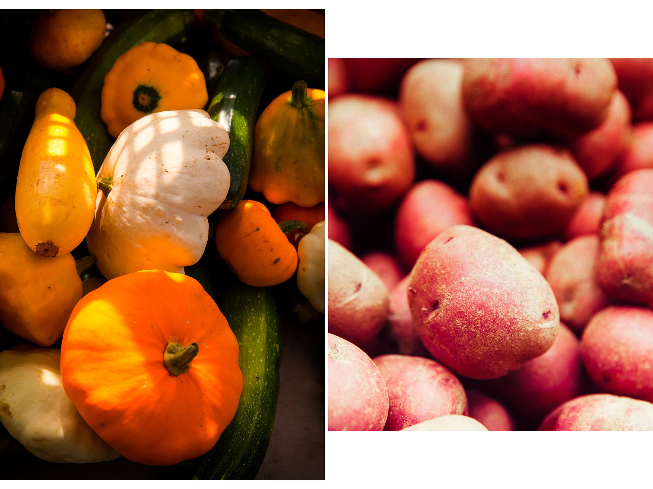 pumpkins .jpg