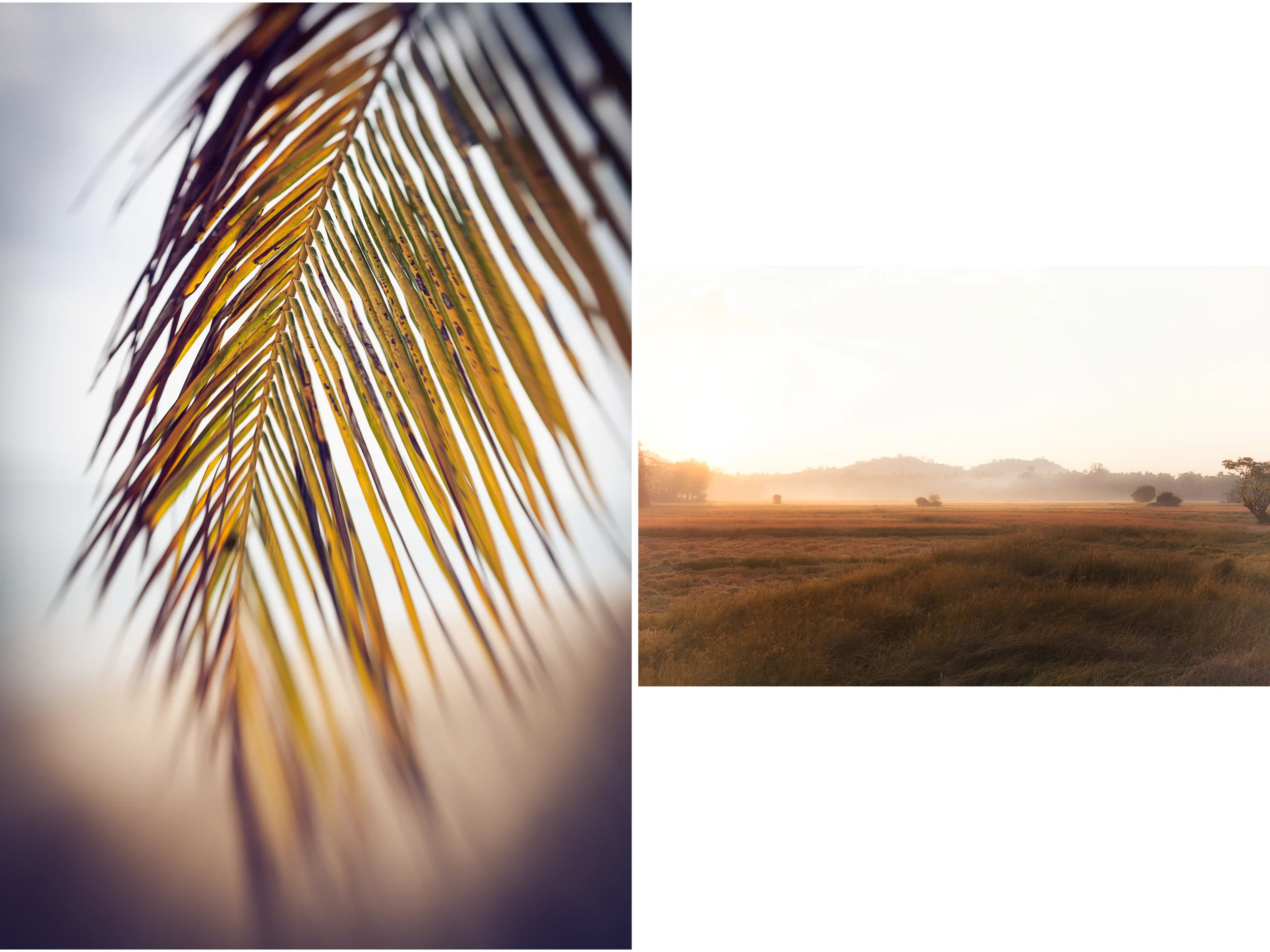 diptic 27.jpg