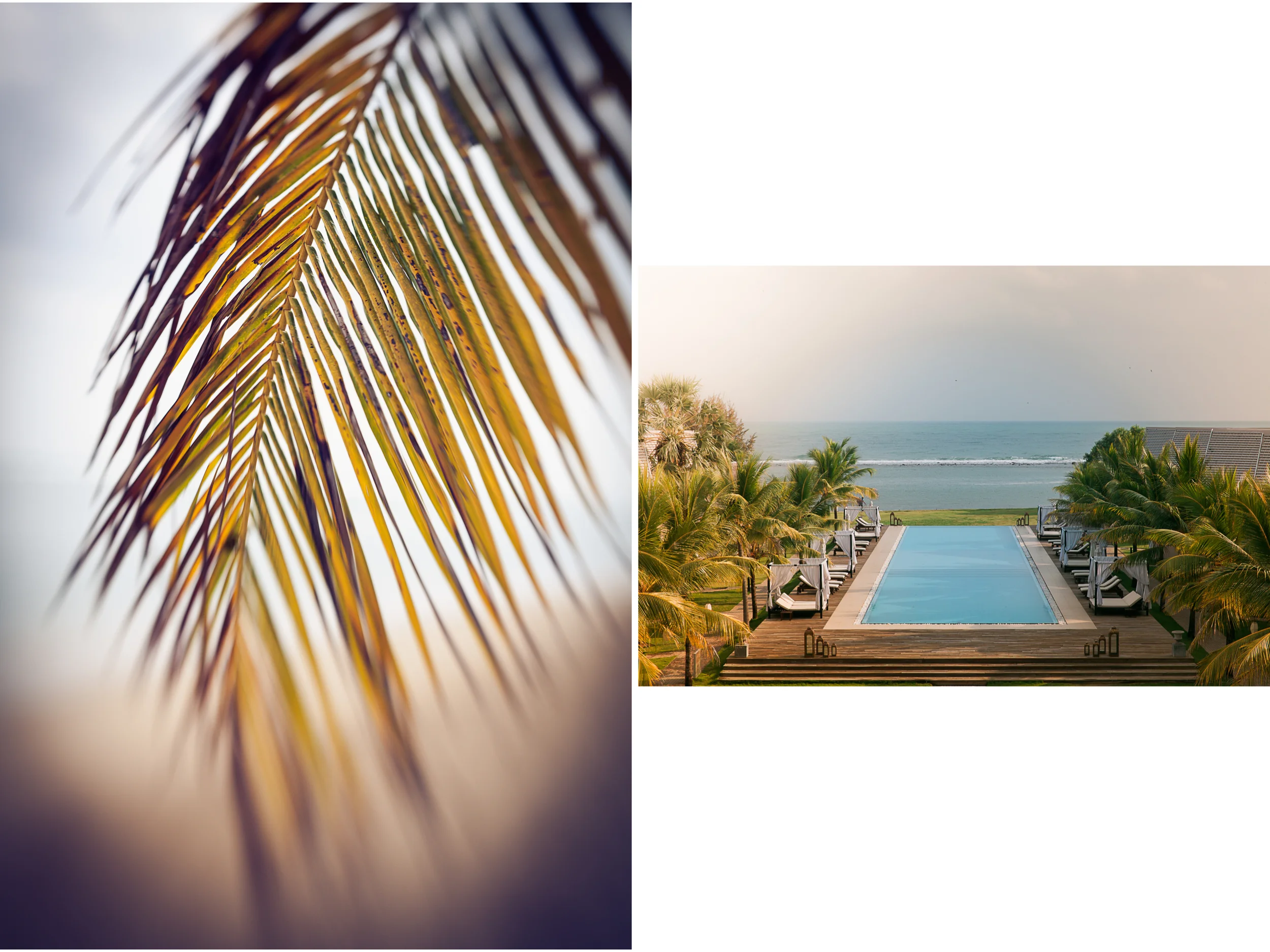 diptic 26-1.jpg