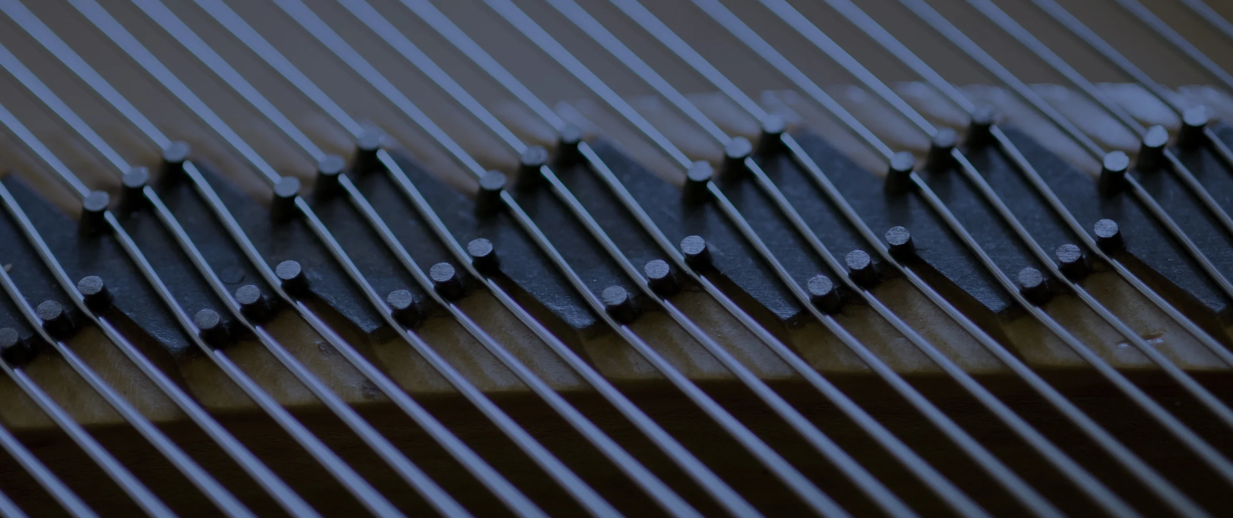 JW_4829 - Version 2 copy.jpg