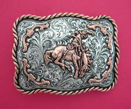 Sterling and Copper Bronc Rider