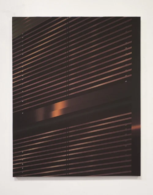 November 20 ( 40.686000, -73.982333 ) 2012. 18 x 24 inches