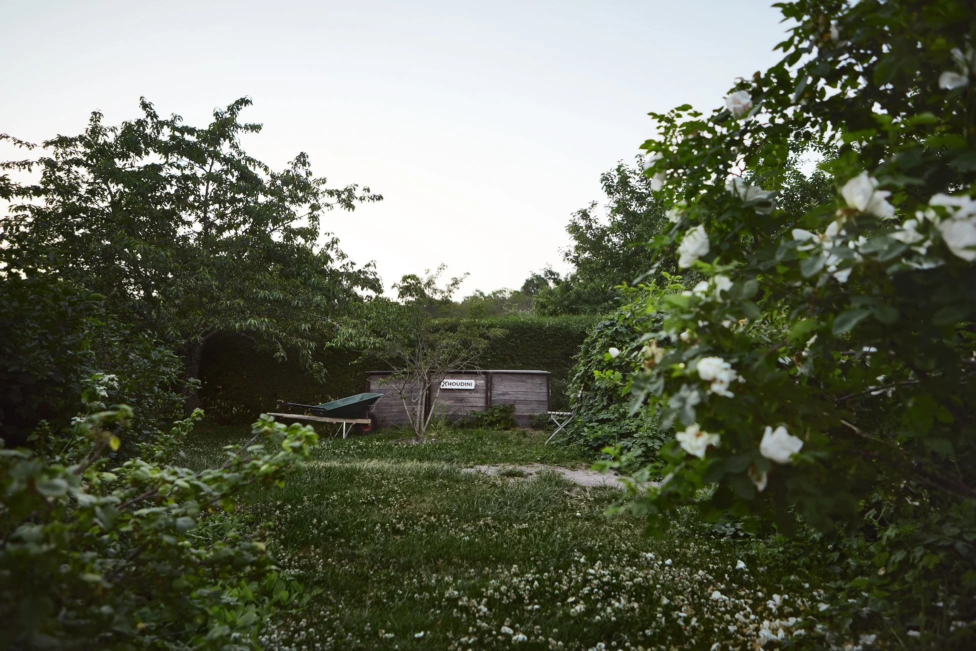 Rosendal 5235.jpg