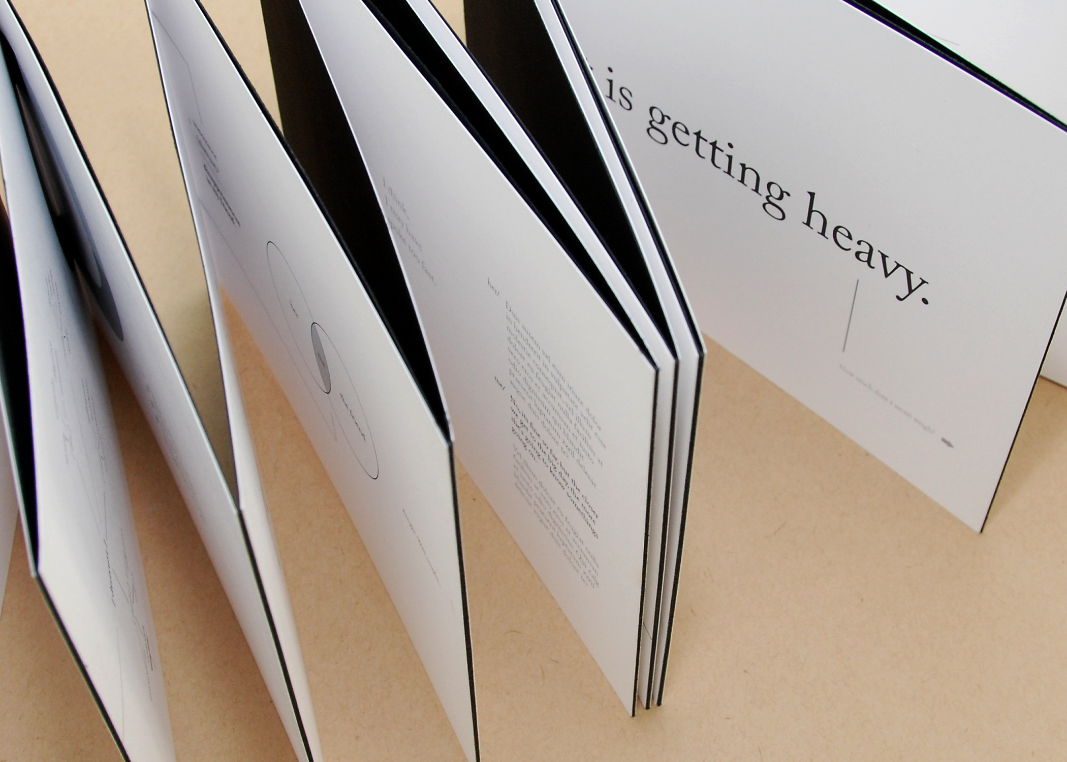 Secret Book - spine removed, accordion style pages spread apart.