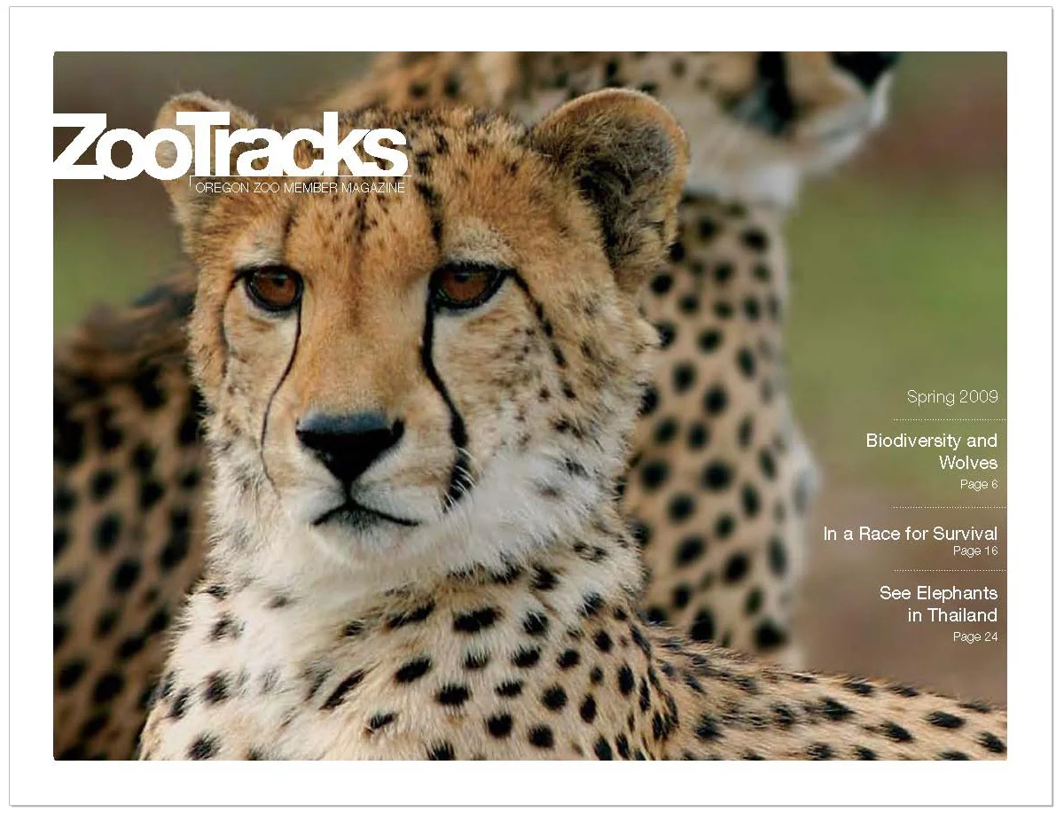 SpringZooTracks_pg1_v2.jpg
