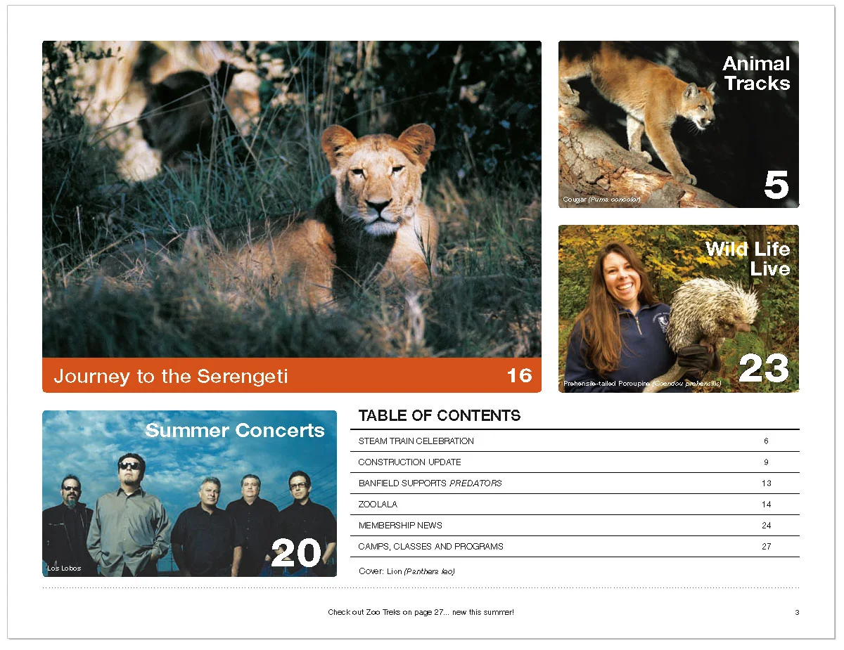 SpringZooTracks_pg3_SFW.jpg