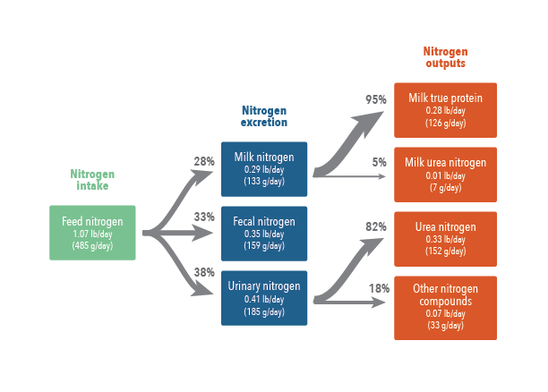 DairyCowNitrogenEfficiency-Figure2-v3-SS.png