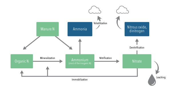 ManureNitrogenLosses_Figure2-v2-CS6.png