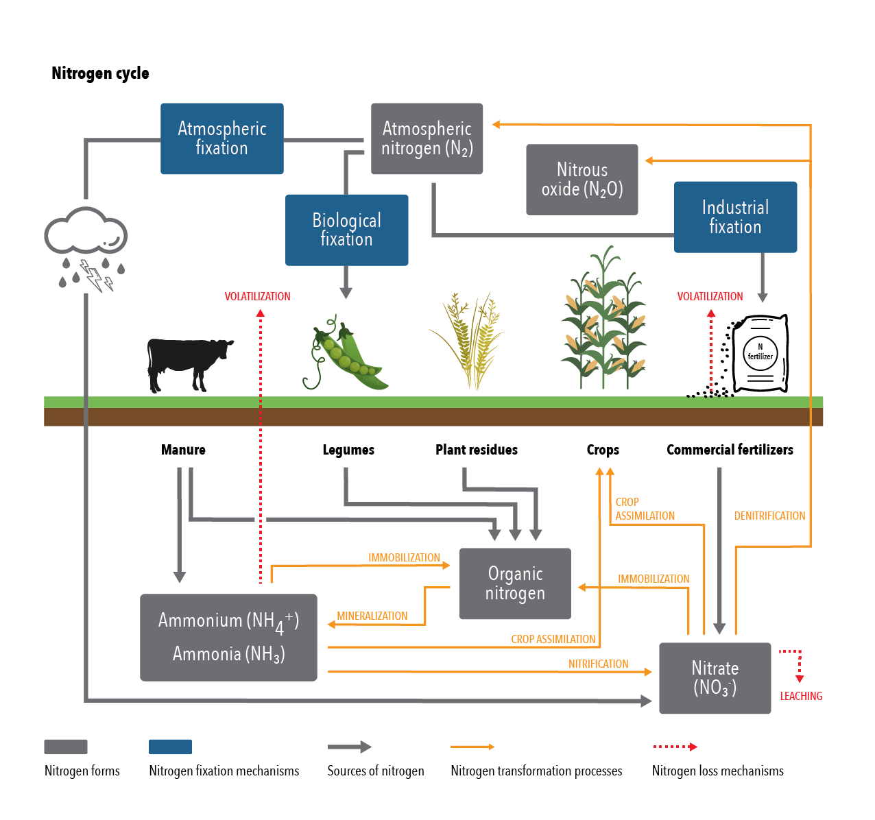 Soils-Figure4-V6-CS6-01.png