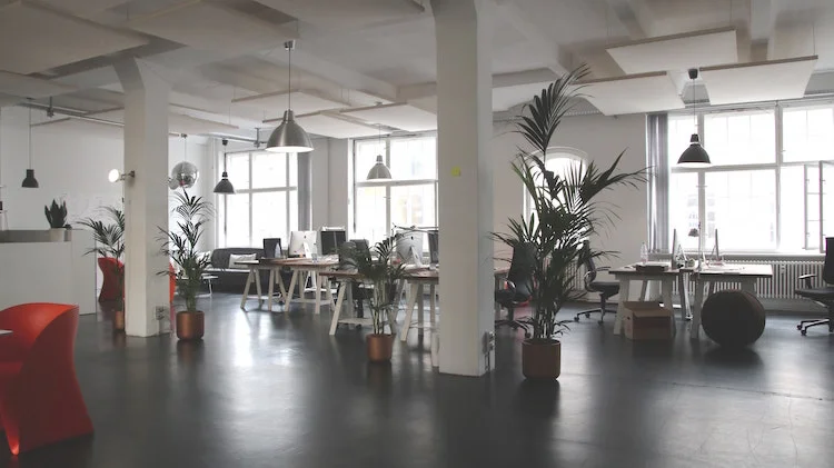polished concrete floors