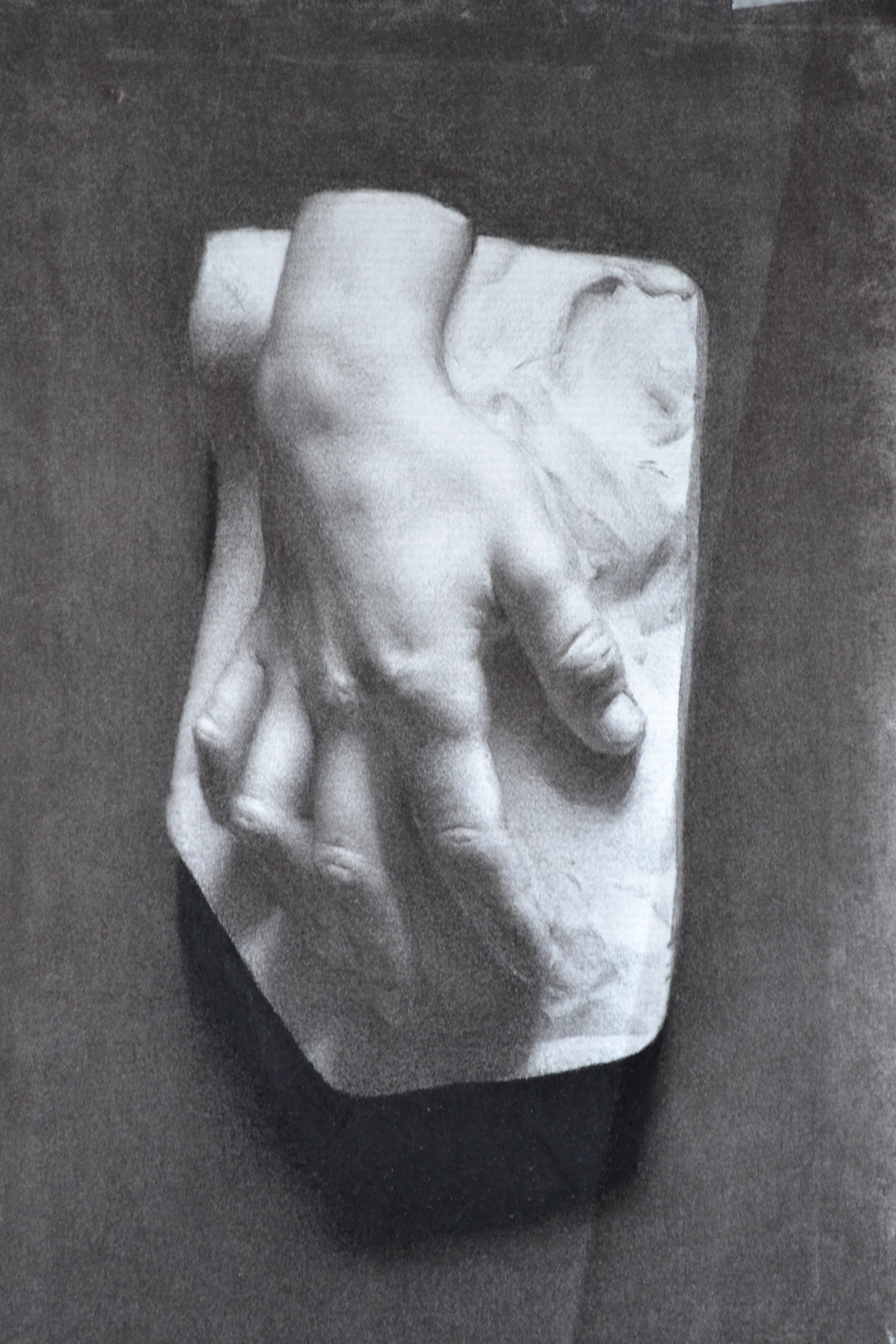 La main de Léonard