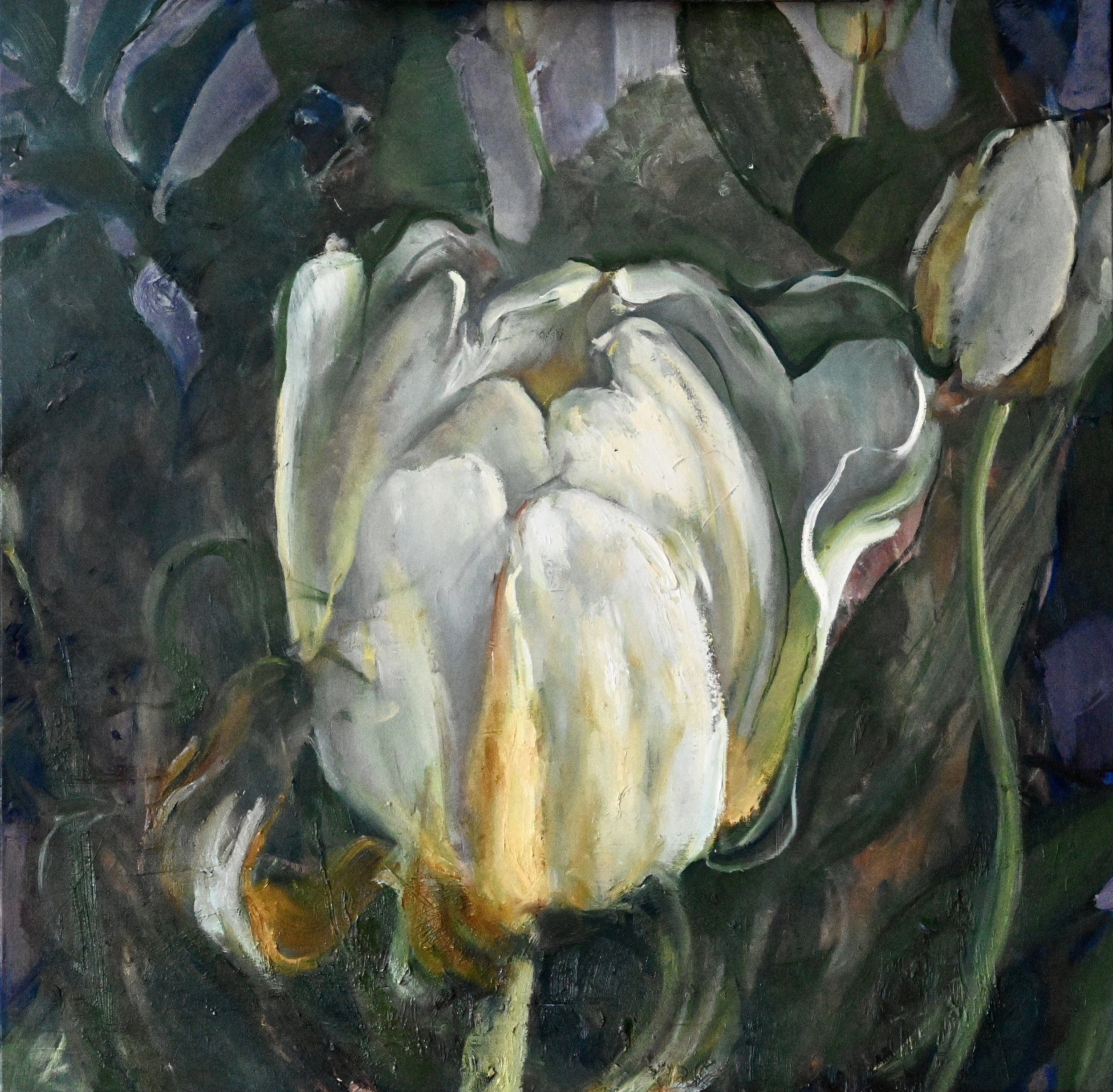 Tulipe, sur trois après-midis d'hiver