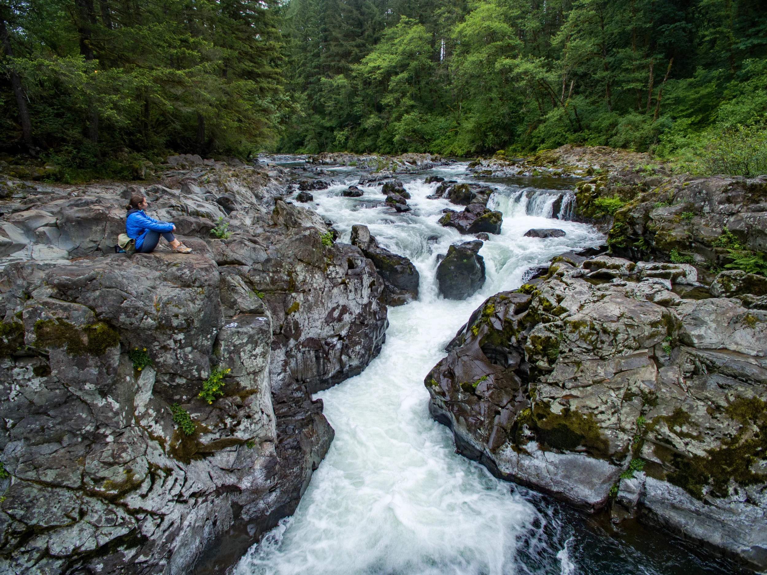 DJI_0070-HDR.jpg