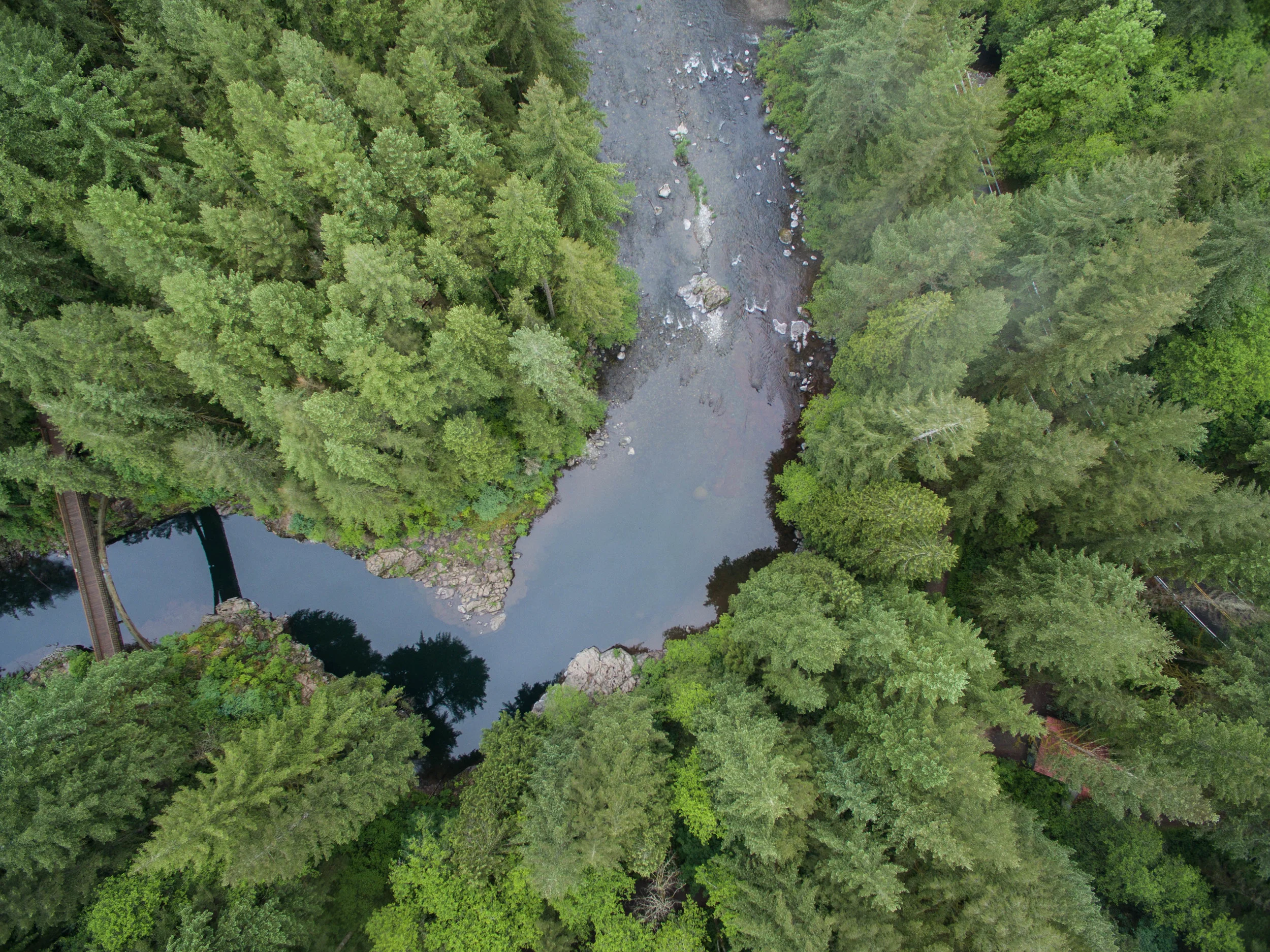 DJI_0051.jpg