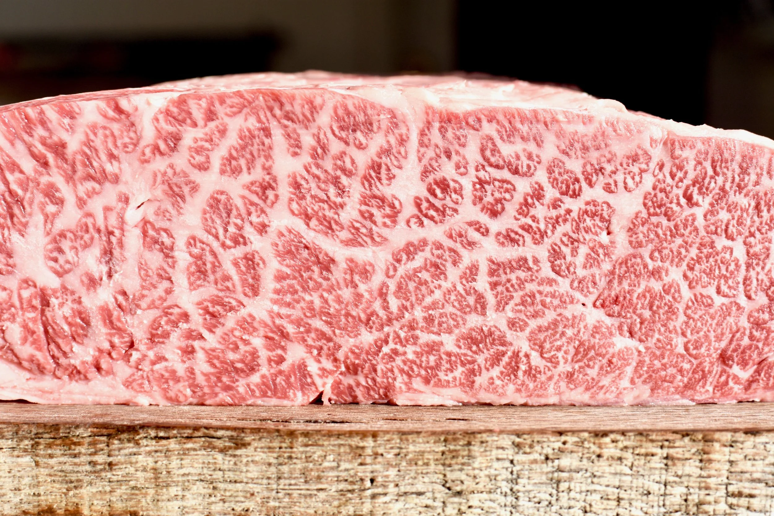 fbw dec 21 denver.jpg