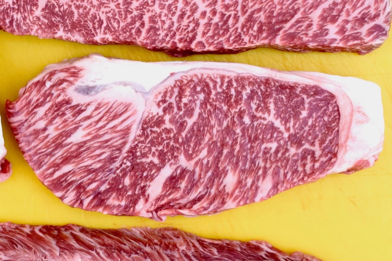 fbw strip spring 2022.jpg