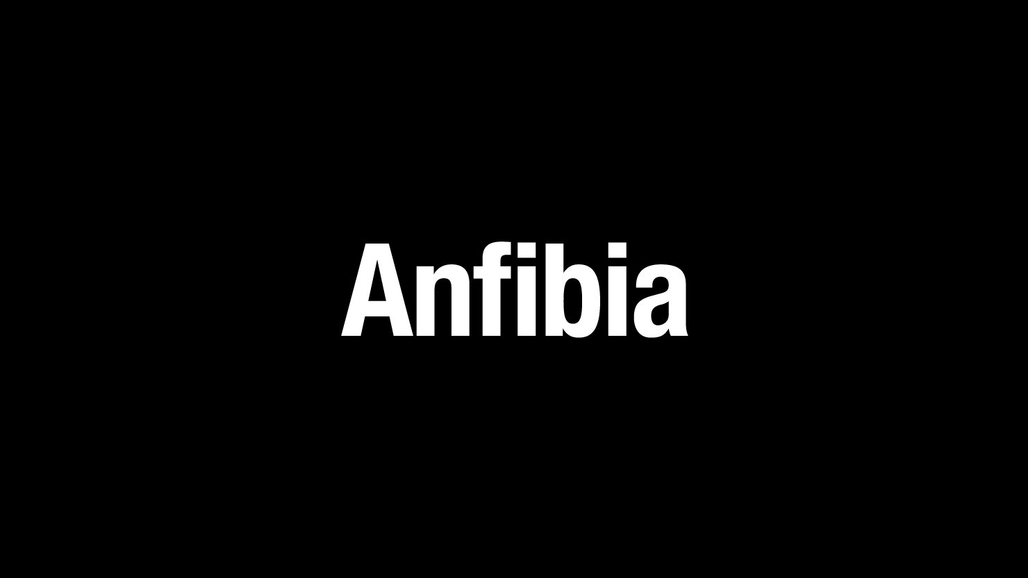 Anfibia_Calendar_Branding_02.jpg