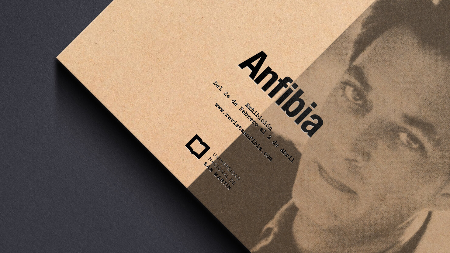 Anfibia_Calendar_Branding_16.jpg