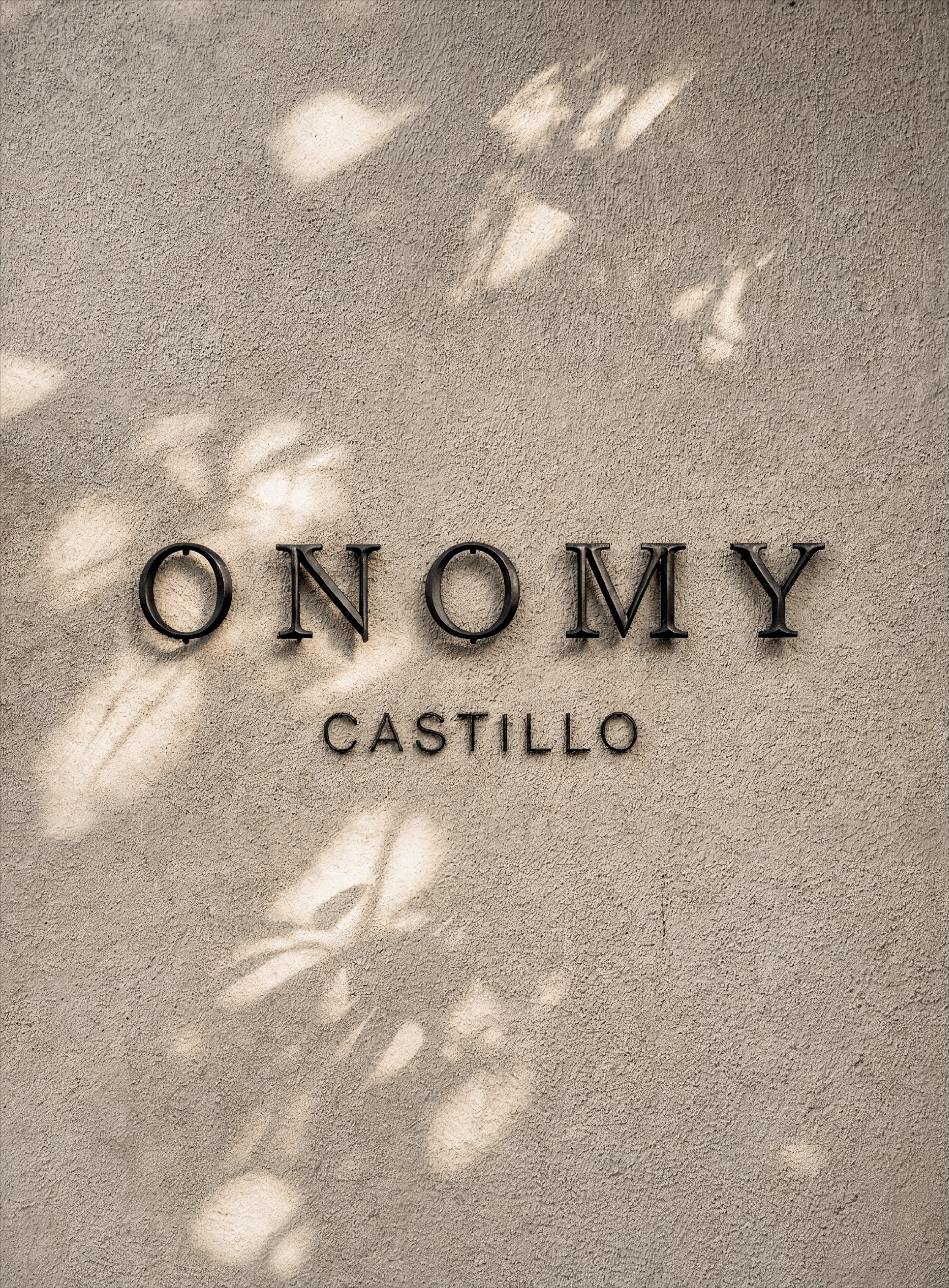 Onomy_Branding 6.jpg