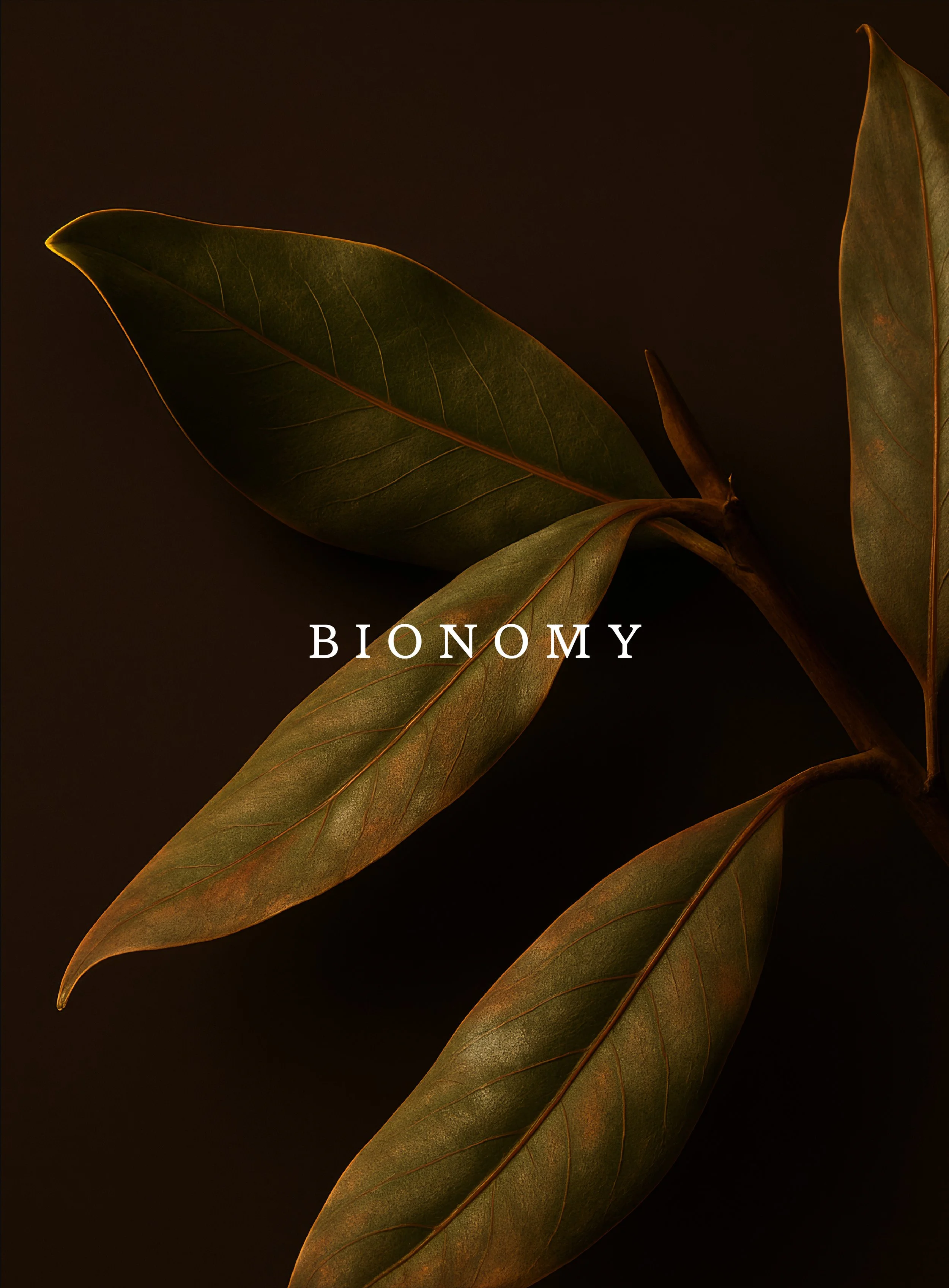 Onomy_Branding 14.jpg