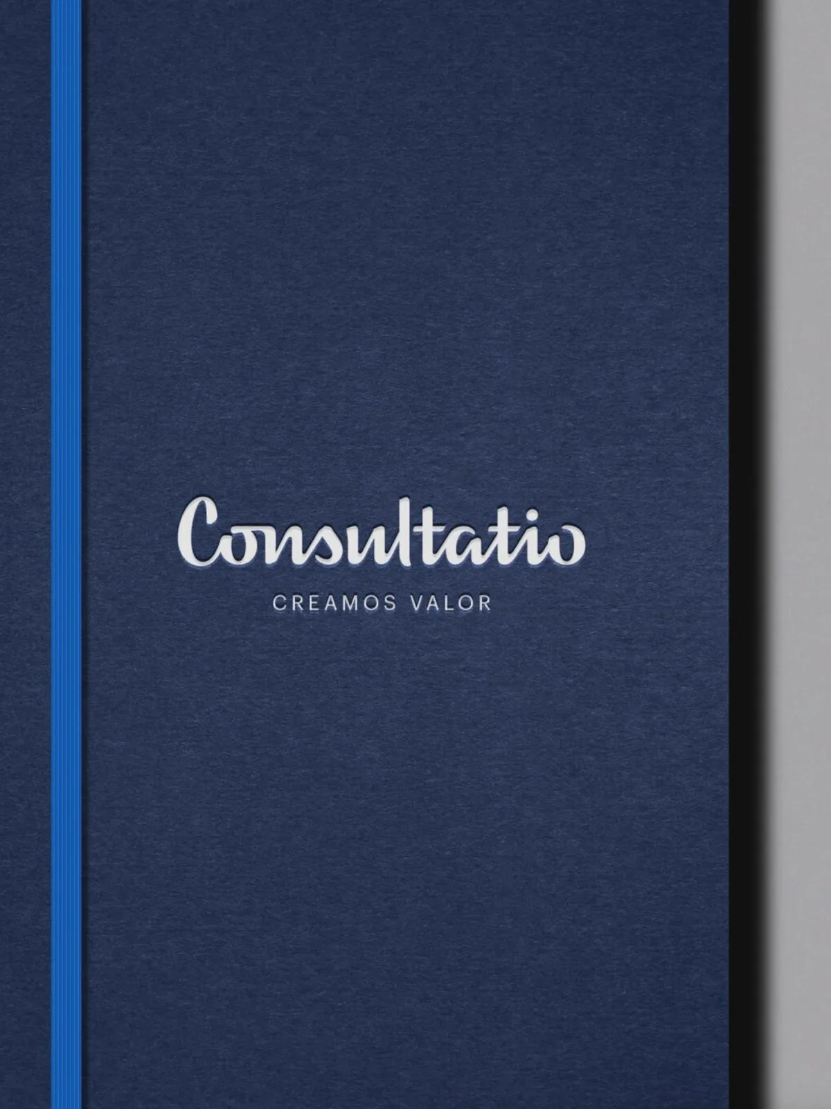 Consultatio