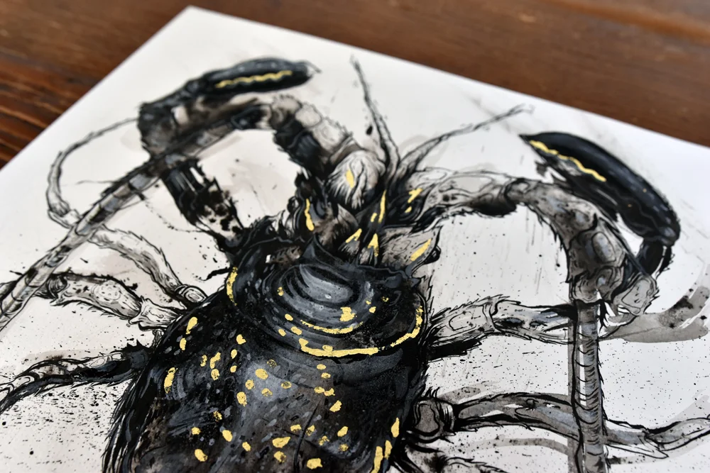 Kaura_detail_small.jpg