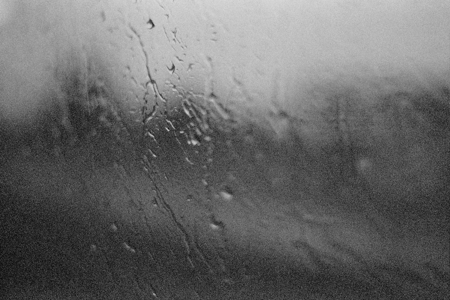 Minolta CLE New York - USA 2014