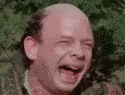 browns.gif