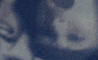giants.gif