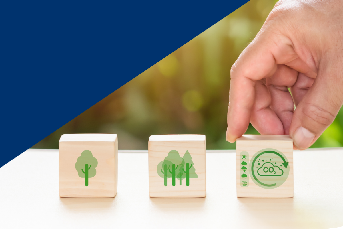 World Climate Day: ABI committed to a more sustainable future