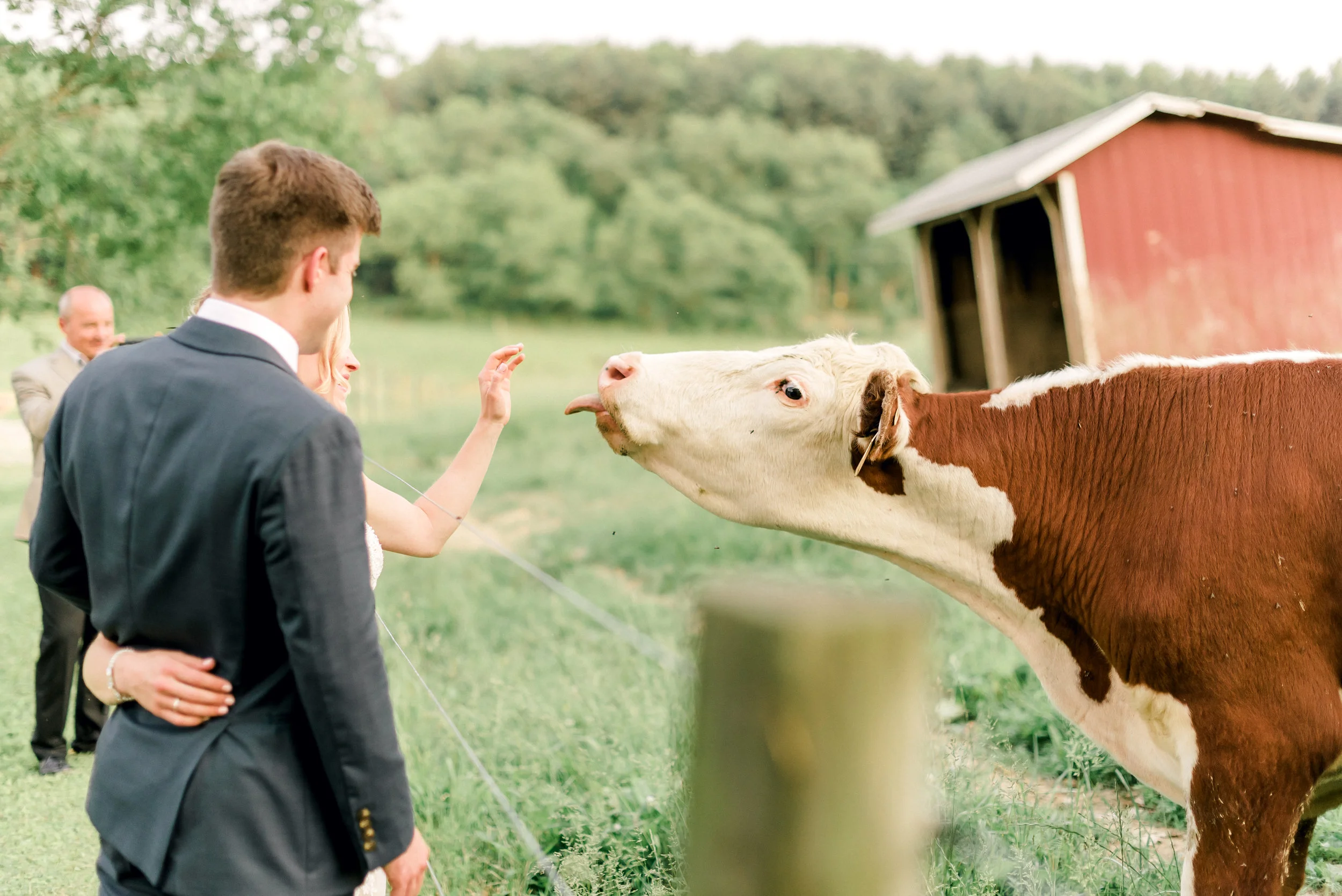 pittsburgh-wedding-photographer-shady-elms-farm-0057.jpg