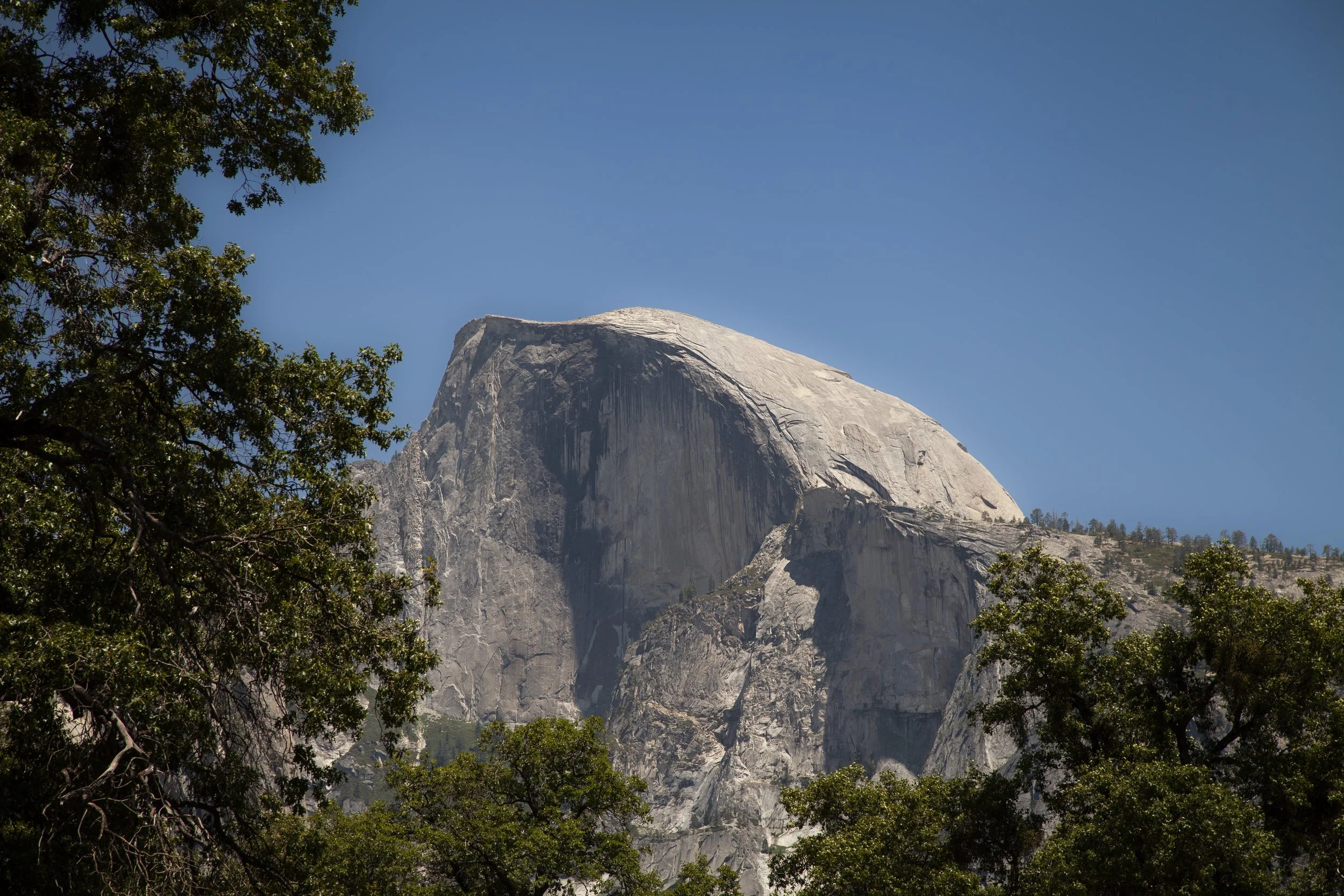 HalfDomeFromValley.JPG