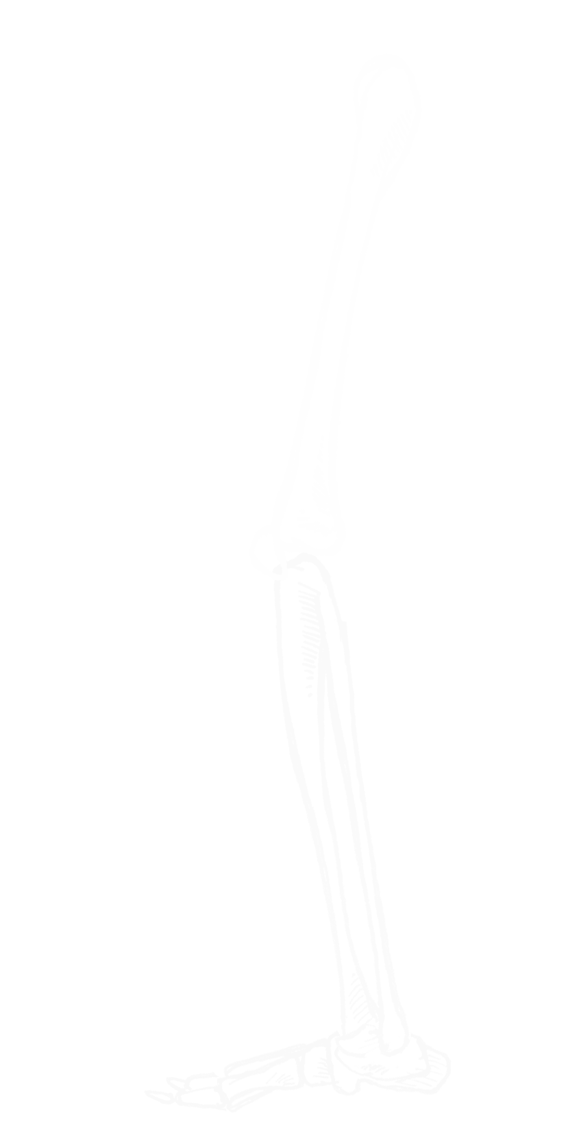 353.png