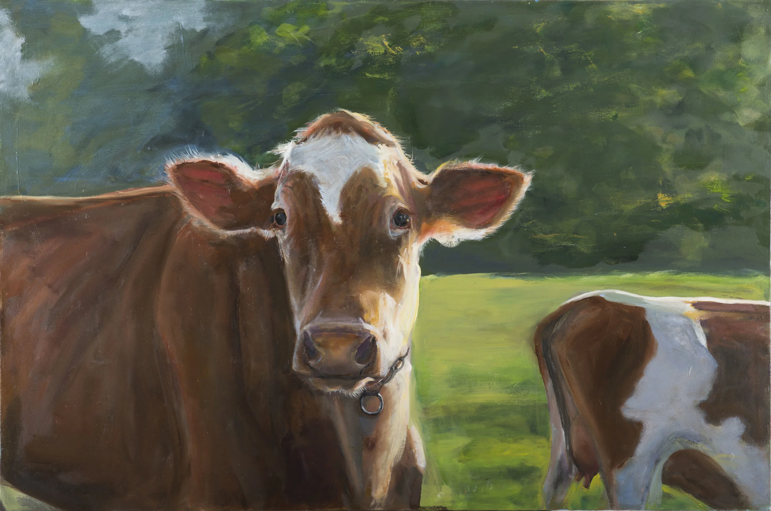 Cow