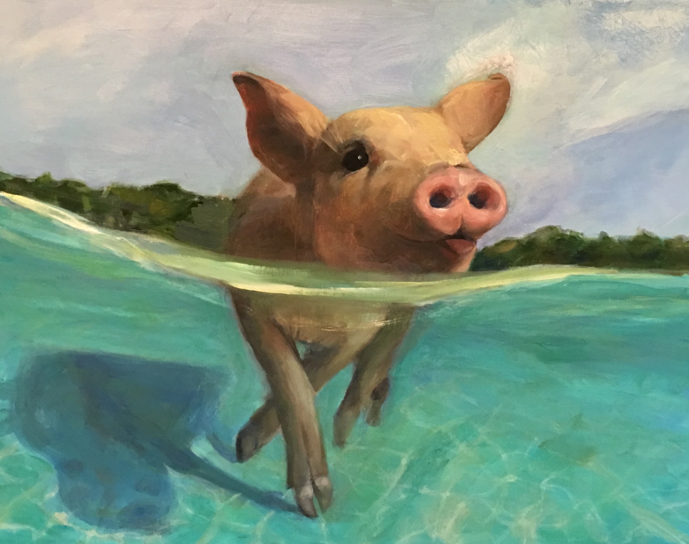 Swimming Pig