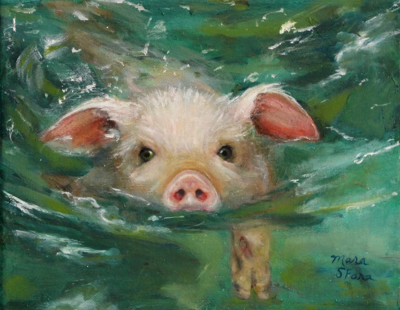 Swimming Piglet