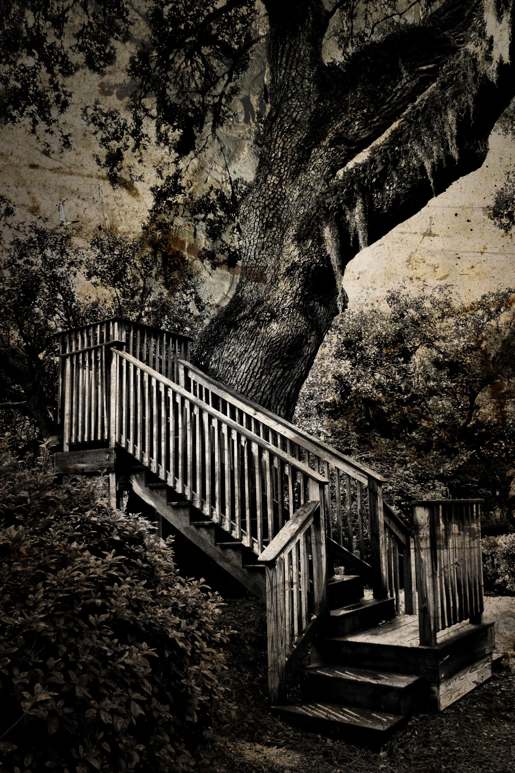 StairwayToWhere.jpg