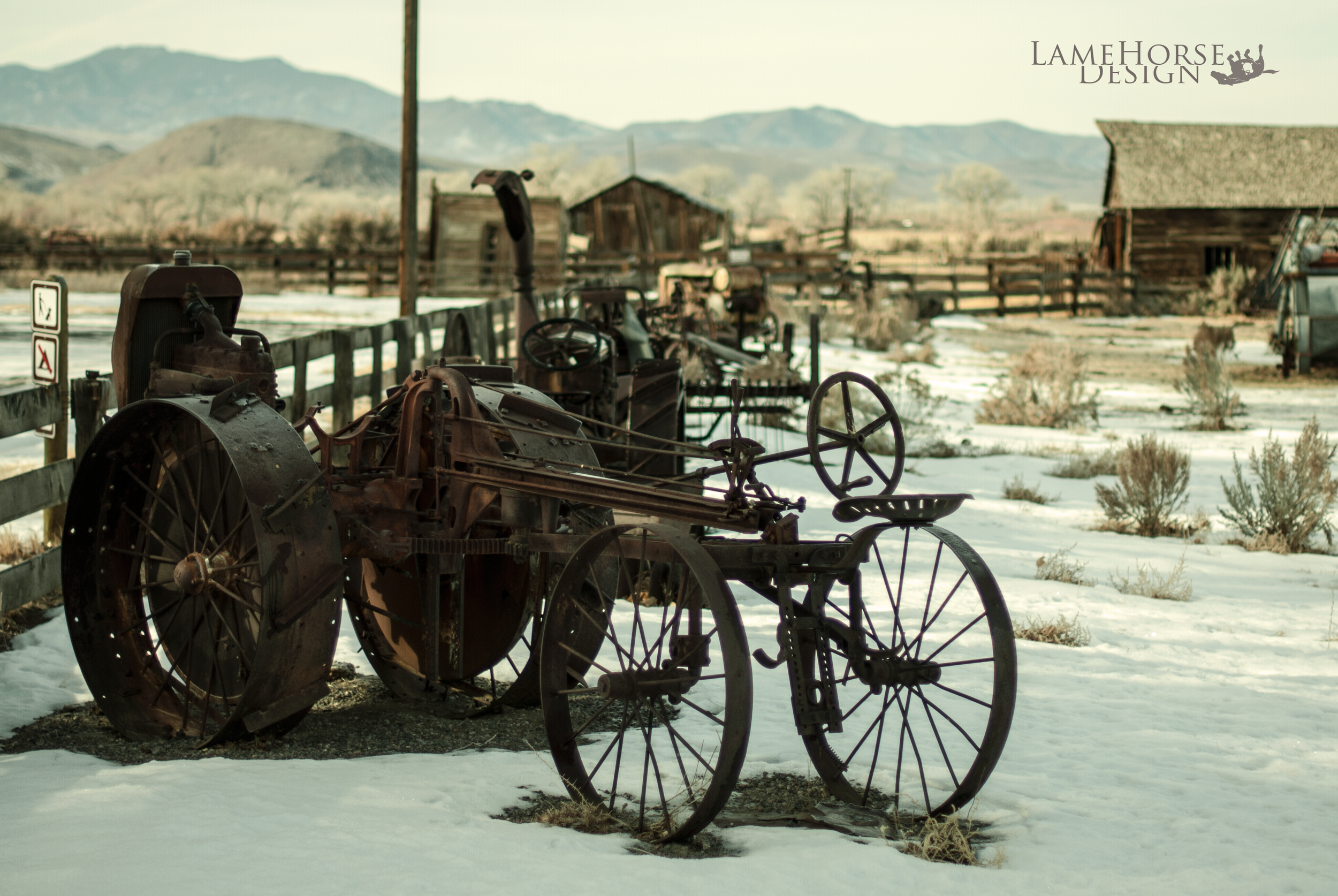 DSC_0092.png